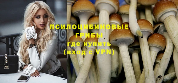 mix Алексеевка