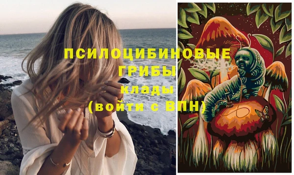экстази Алексин