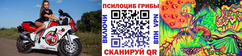 сколько стоит Богучар Псилоцибиновые грибы мухоморы